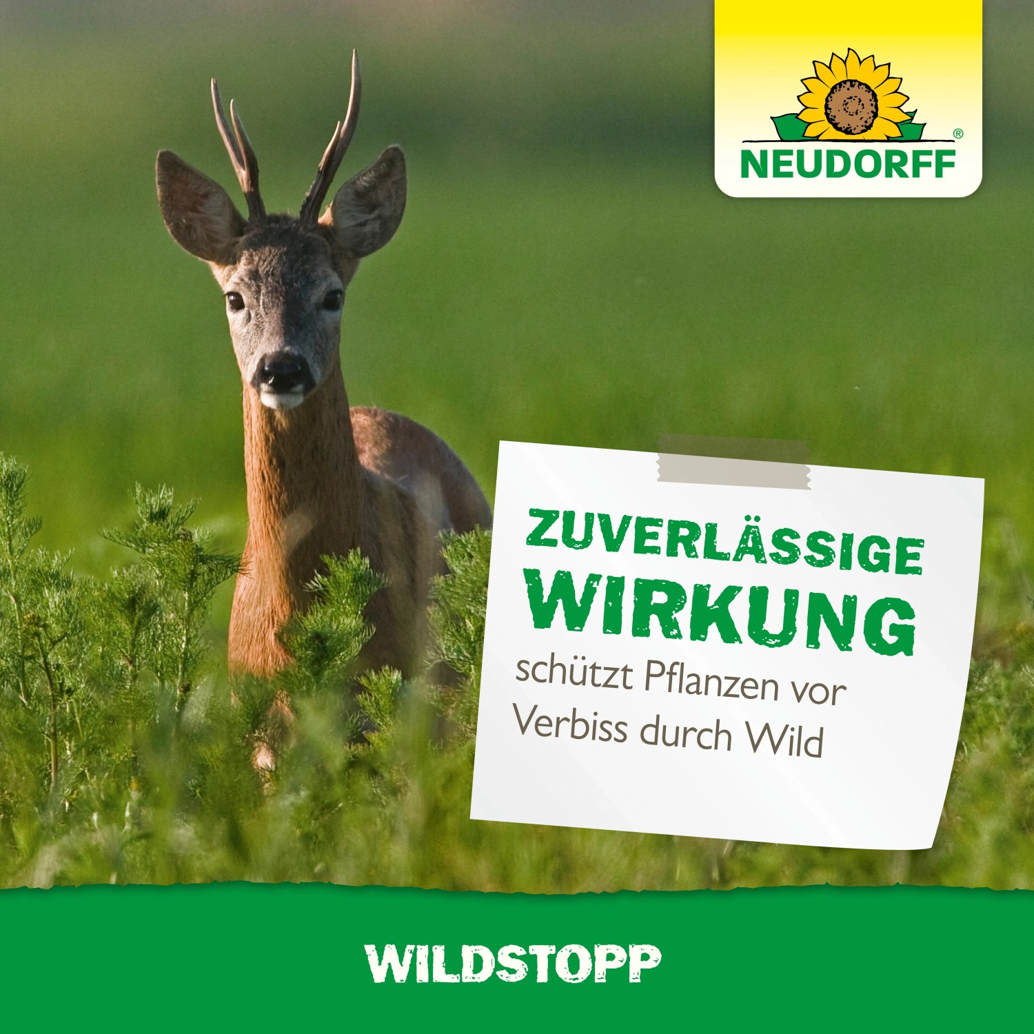 Neudorff Wildstopp: Reh im Feld, schützt vor Wildverbiss an Pflanzen.