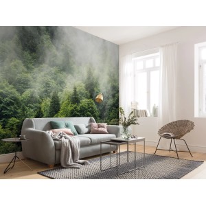 Komar Vlies Fototapete Forest Land (400x250 cm) im Wohnzimmer mit Waldmotiv.