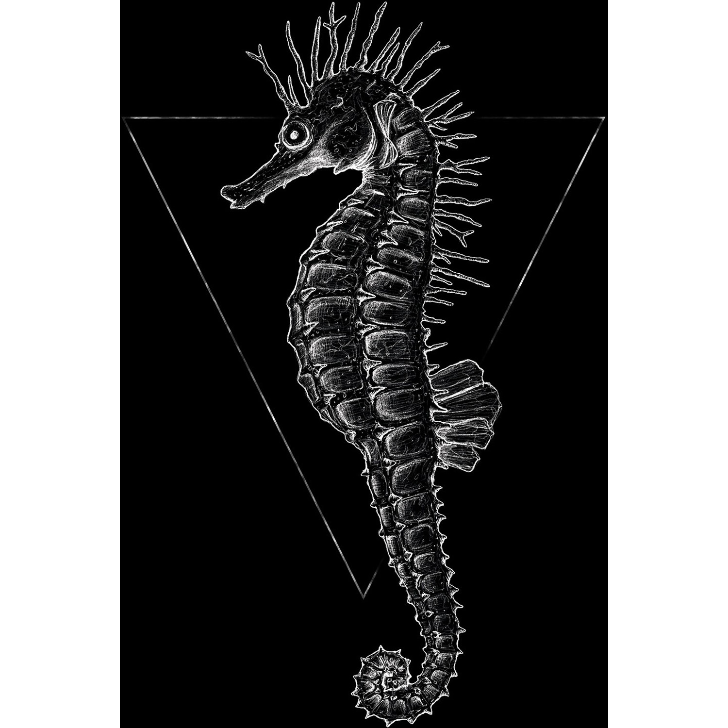 Komar Wandbild Sea Horse Black 50 x 70 cm