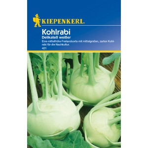 Kiepenkerl Kohlrabi Delikateß weißer Samenpackung, Gemüse für den Garten.