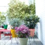 Elho Blumentopf Loft Urban, rund, pistaziengrün, mit Rollen, Ø 48,5 cm. Ideal für Balkon und Terrasse.