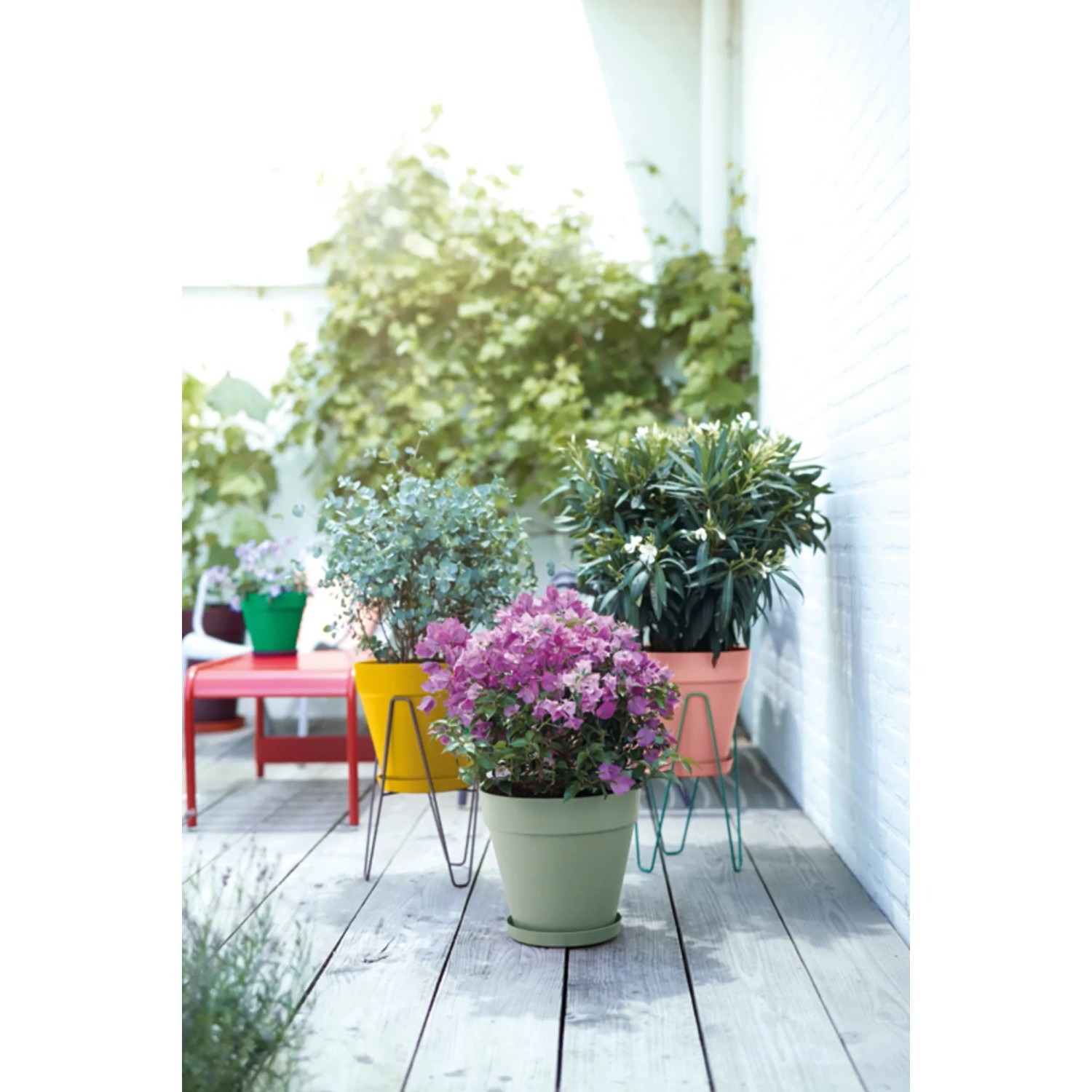Elho Blumentopf Loft Urban, rund, pistaziengrün, mit Rollen, Ø 48,5 cm. Ideal für Balkon und Terrasse.