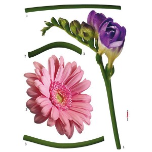 Komar Deko-Sticker Fiore: Wandtattoo mit rosa Gerbera und lila Freesie, selbstklebend.
