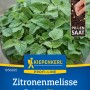 Kiepenkerl Zitronenmelisse Mandarina Pillensaat: buschige, grüne Pflanze im Topf, Samentüte mit Pillensaat.