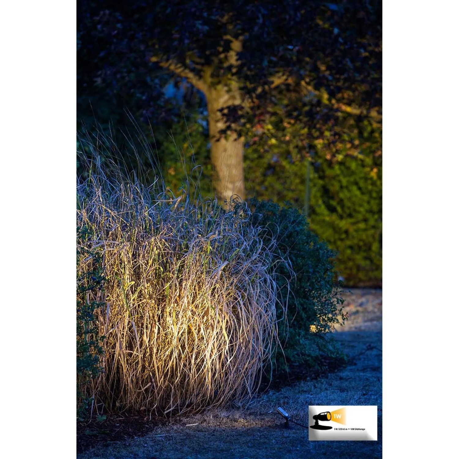 Heissner SMART LIGHT Starter-Set: LED-Spots beleuchten Teich und Garten warmweiß.