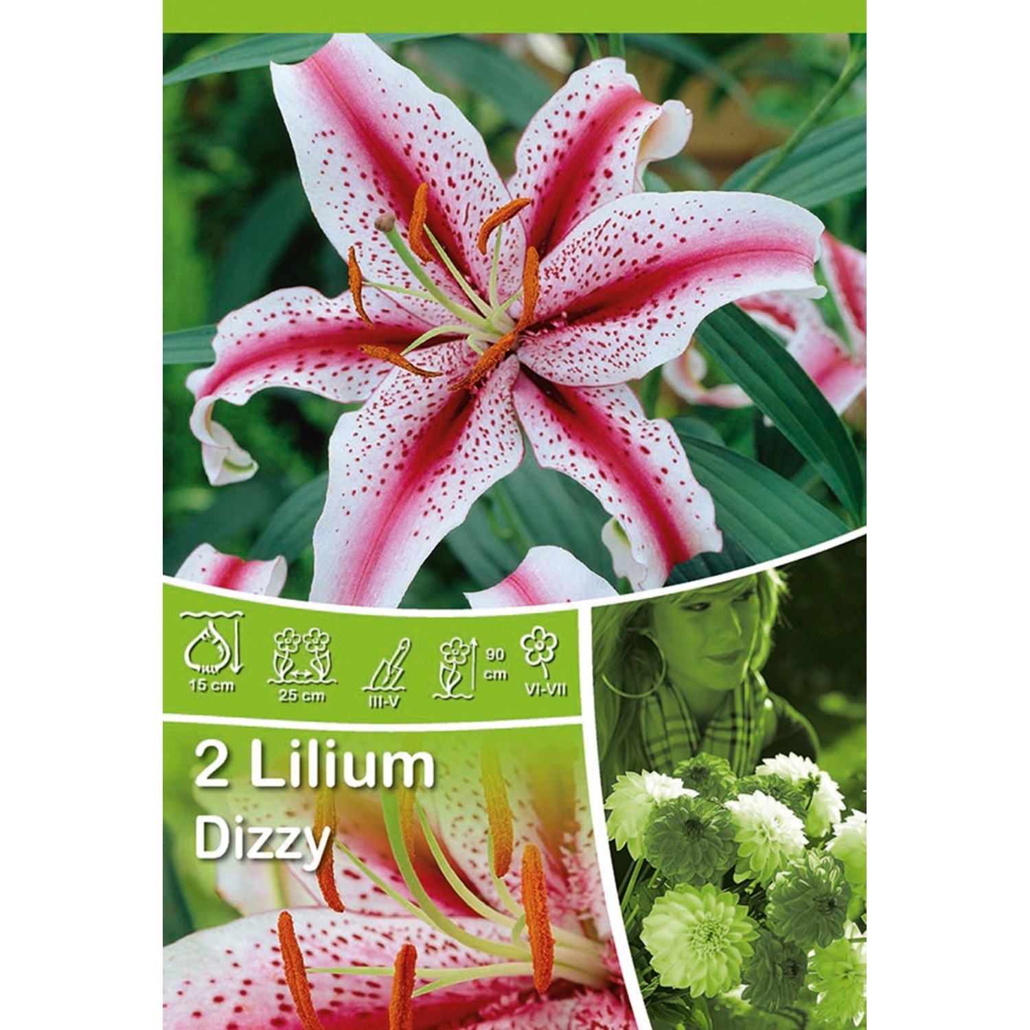 Lilien "Tango Kentucky" Orange mit Braun kaufen bei OBI