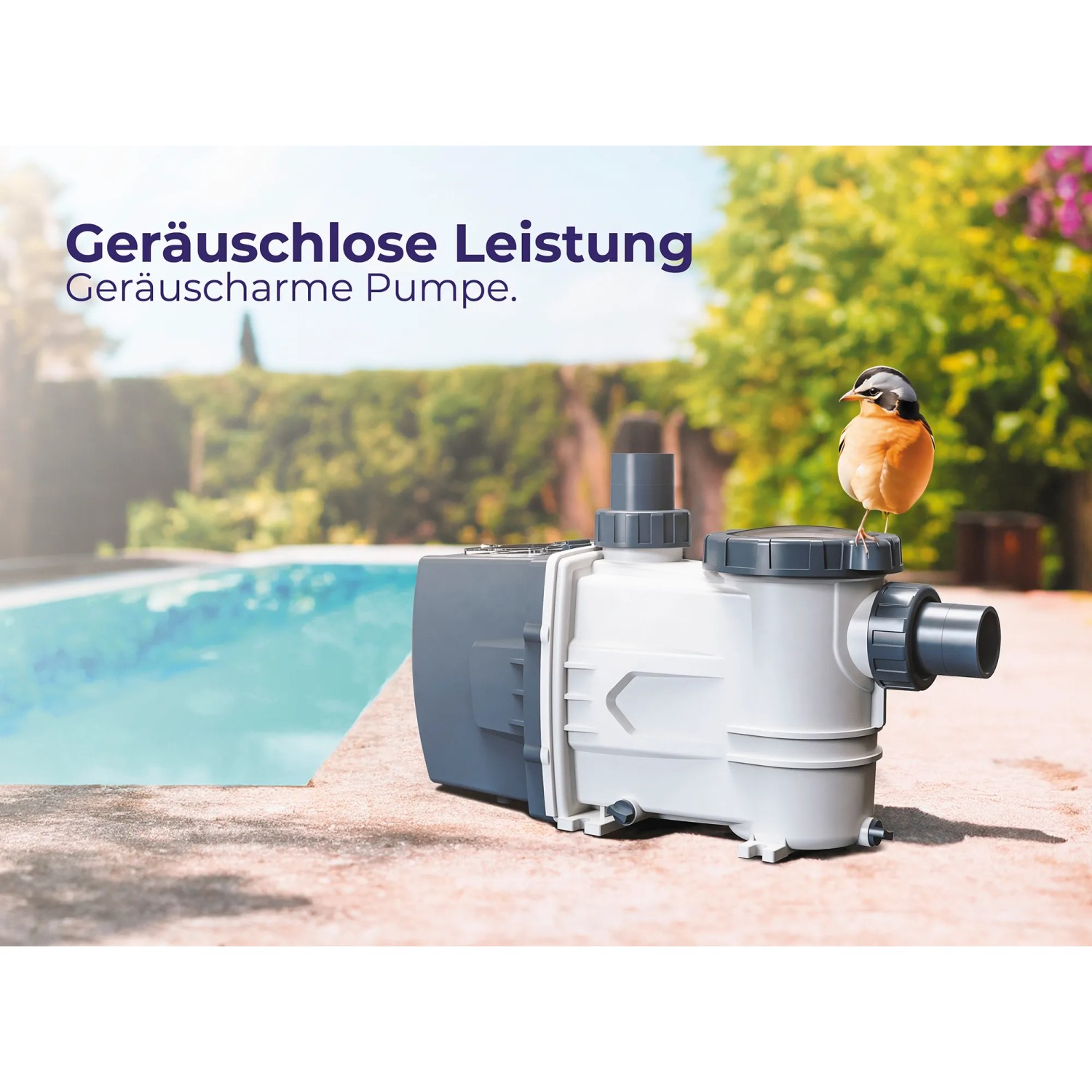Gre Poolpumpe 3/4 PS, 550 W, bis 16.000 l/h, schwarz, mit Vogel auf Pumpe am Pool.