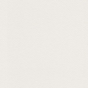 Weiße Vliestapete mit feiner Struktur, ideal zum Überstreichen. Schlichte Uni-Tapete für Flur und Wohnraum.