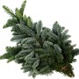 Bund Edeltannenzweige (Nobilis) für Adventsschmuck und Weihnachtsdeko.