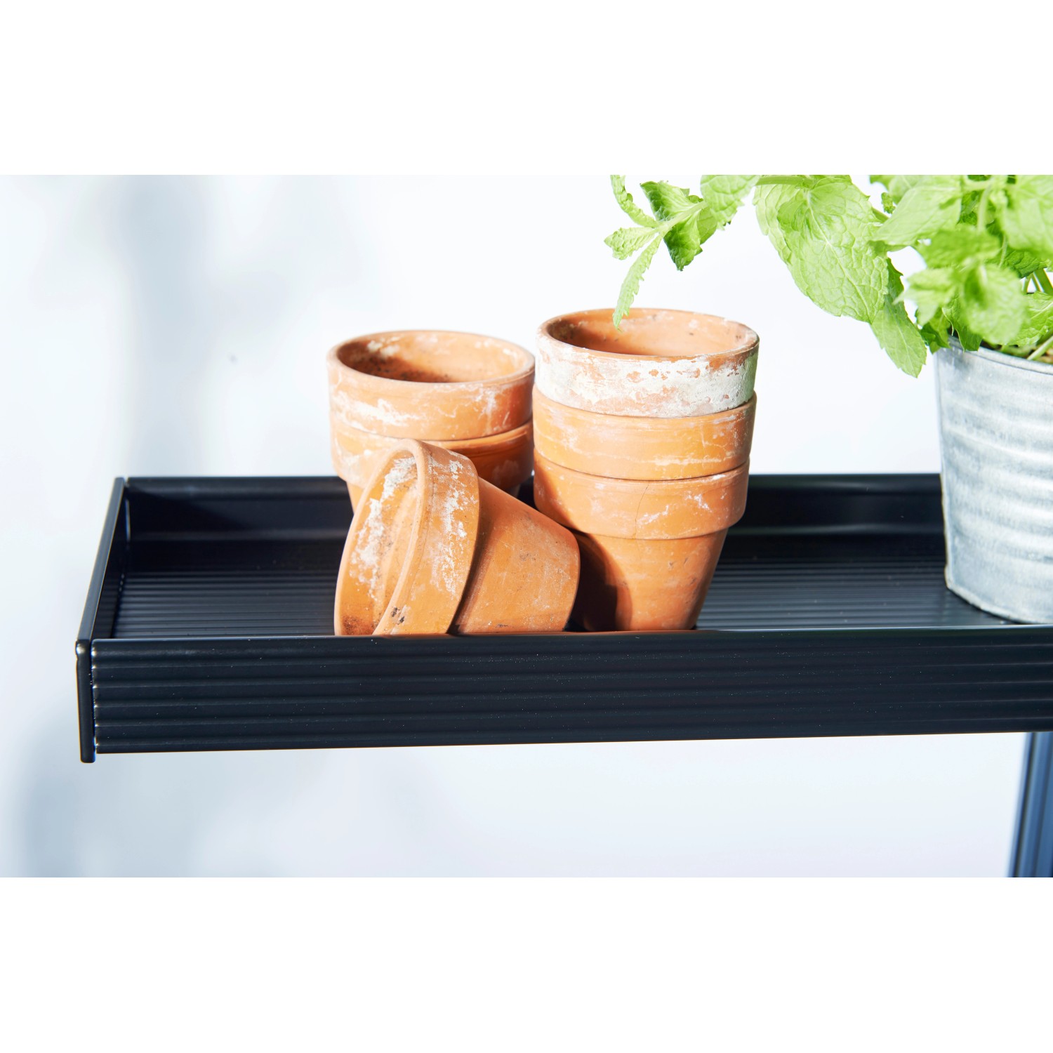 Schwarzes Juliana Aluregal mit Terrakotta-Töpfen, Gewächshaus Zubehör für Pflanzen.