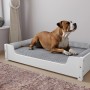 Weißes Erst-Holz Hundebett 100x60 cm mit Rollrost und Matratze für große Hunde.