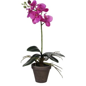 Violette Kunstpflanze Phalaenopsis im Topf, 48cm hoch. Dekorative Orchidee für Innenräume.