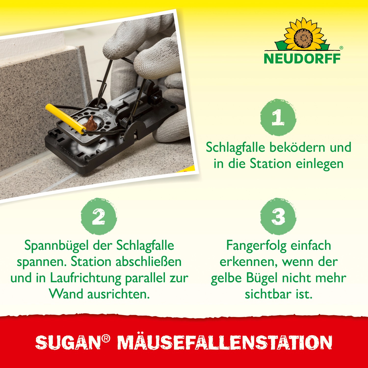 Neudorff Sugan Mäusefallen-Station: Schlagfalle wird bestückt und in die Station eingesetzt.