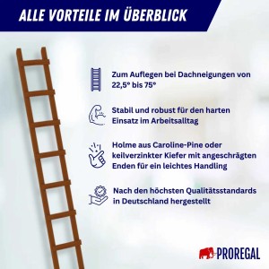PROREGAL Dachleiter Holz mit 12 Sprossen. Robuste Leiter für Dacharbeiten.