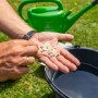 Nematoden gegen Engerlinge in Hand, Gießkanne im Hintergrund. Schädlingsbekämpfung mit Nützlingen.