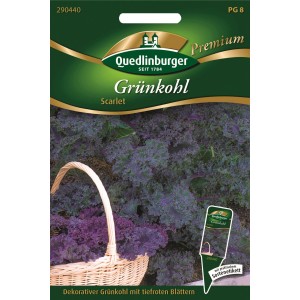 Samentüte Quedlinburger Grünkohl 'Scarlet' mit tiefroten Blättern im Korb.