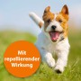 Fröhlicher Hund mit Zecken- und Flohpuder-Schutz. Repellierende Wirkung.