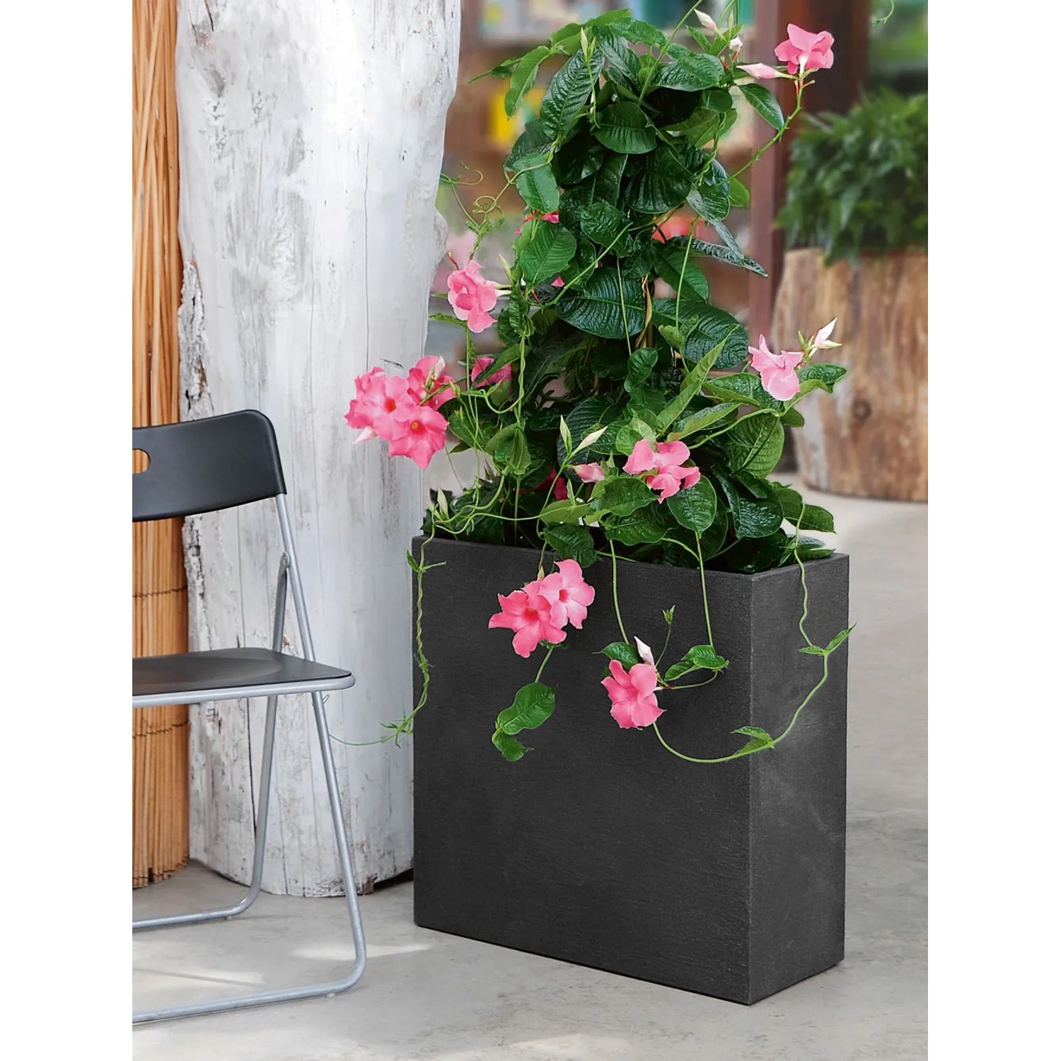 Pflanzwerk Pflanzkbel Kunststoff Divider 60 x 60 x 26 cm Anthrazit fr  auen kaufen bei OBI