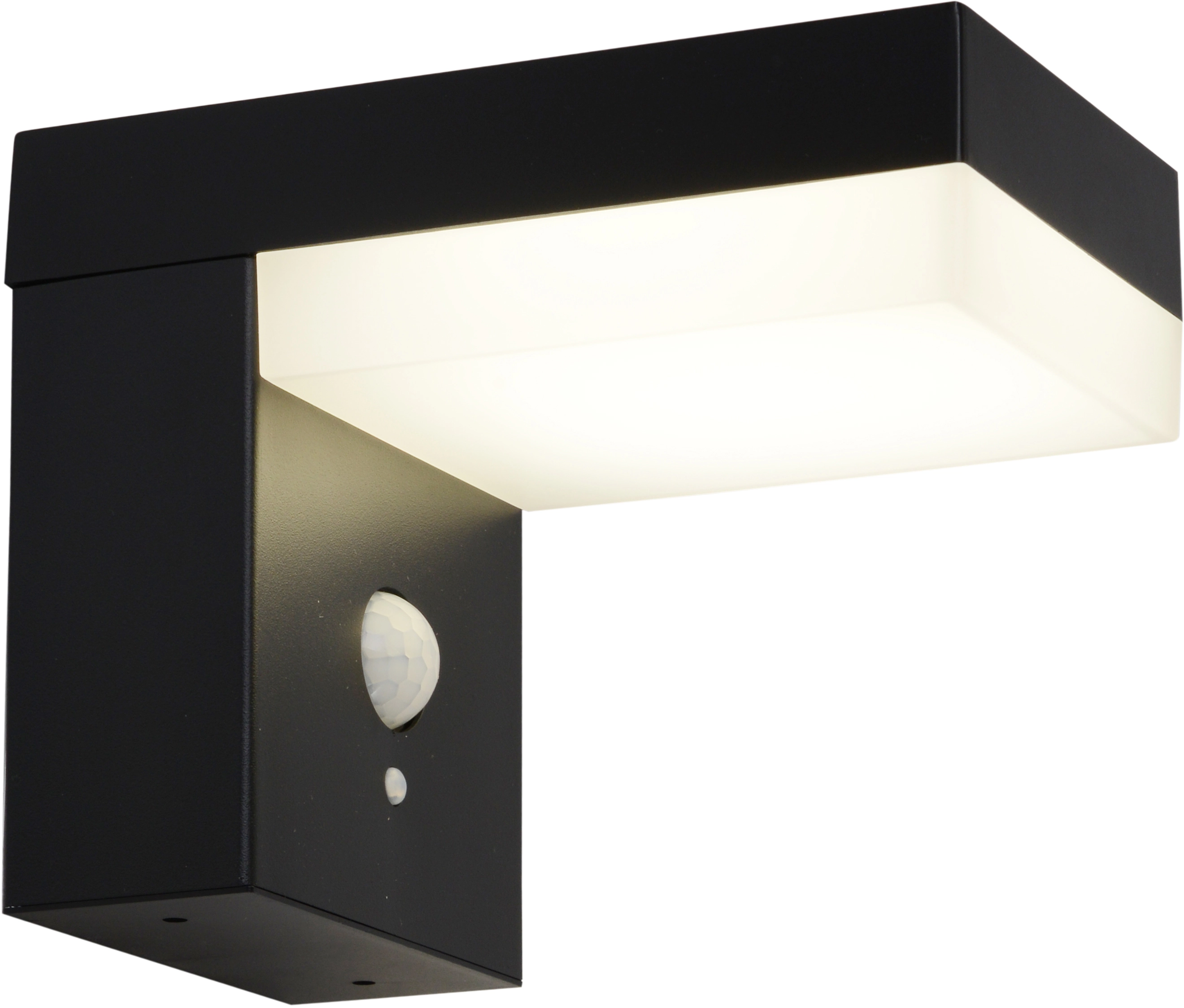A+ Bewegungsmelder LED-Wand-Außenleuchte Schwarz mit EEK: bei Filius kaufen OBI Näve