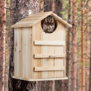 Relaxdays Eulen Nistkasten Bausatz Tannenholz Natur Aufklappbar Wetterbeständig 38,5 cm x 25 cm x 28 cm 1,5 kg