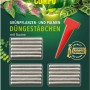 Compo Düngestäbchen für Grünpflanzen und Palmen mit Guano, 30 Stück.