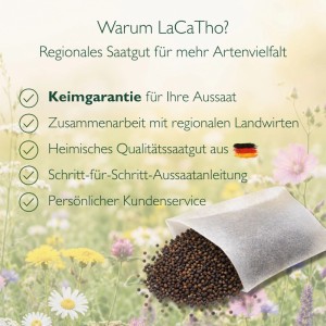 LaCaTho Winterthymian Samenpaket mit Samen auf Blumenwiese. Vorteile wie Keimgarantie und regionales Qualitätssaatgut.