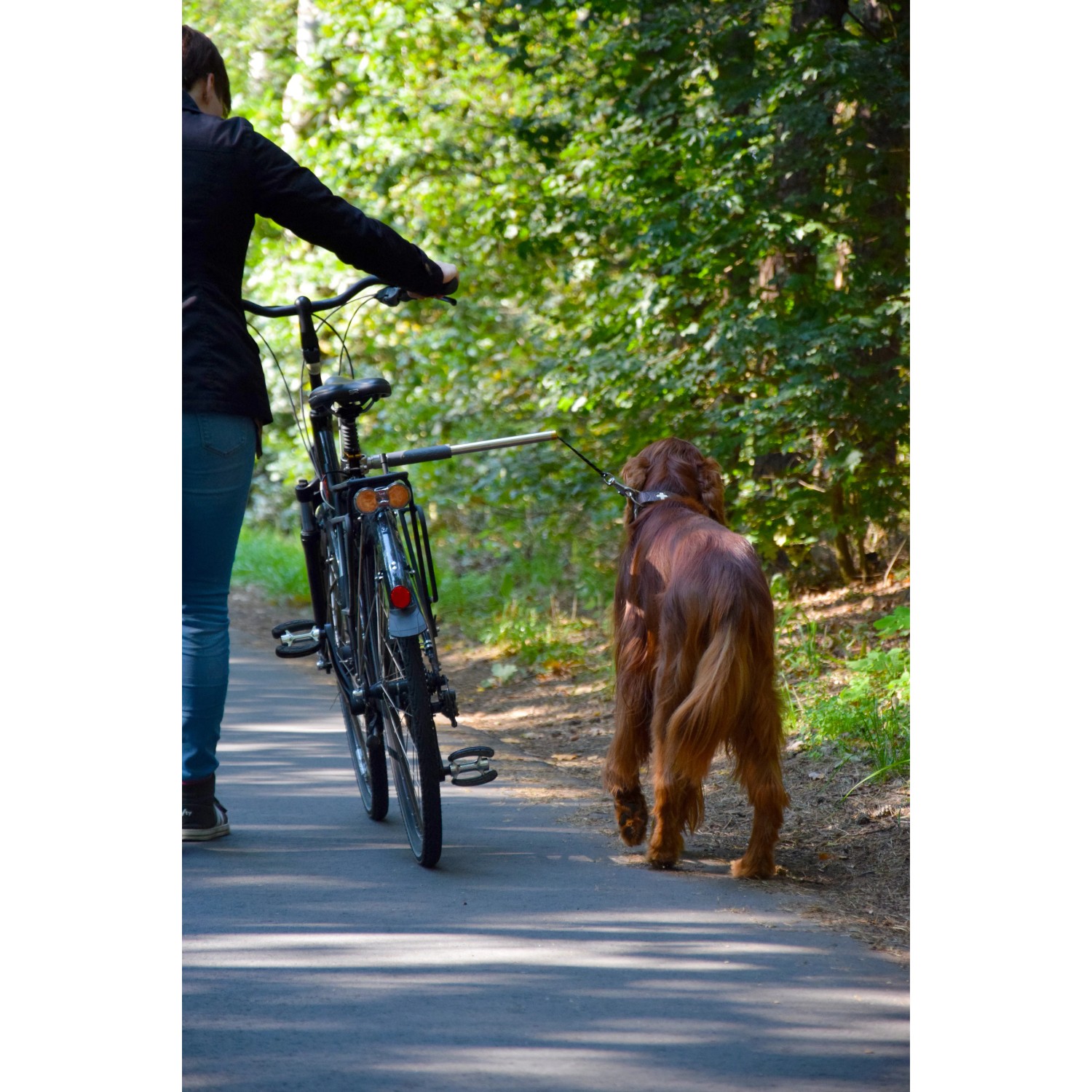 Fahrradtour mit Hund: Fahrrad-Hundeleine Walky Dog Plus im Einsatz.
