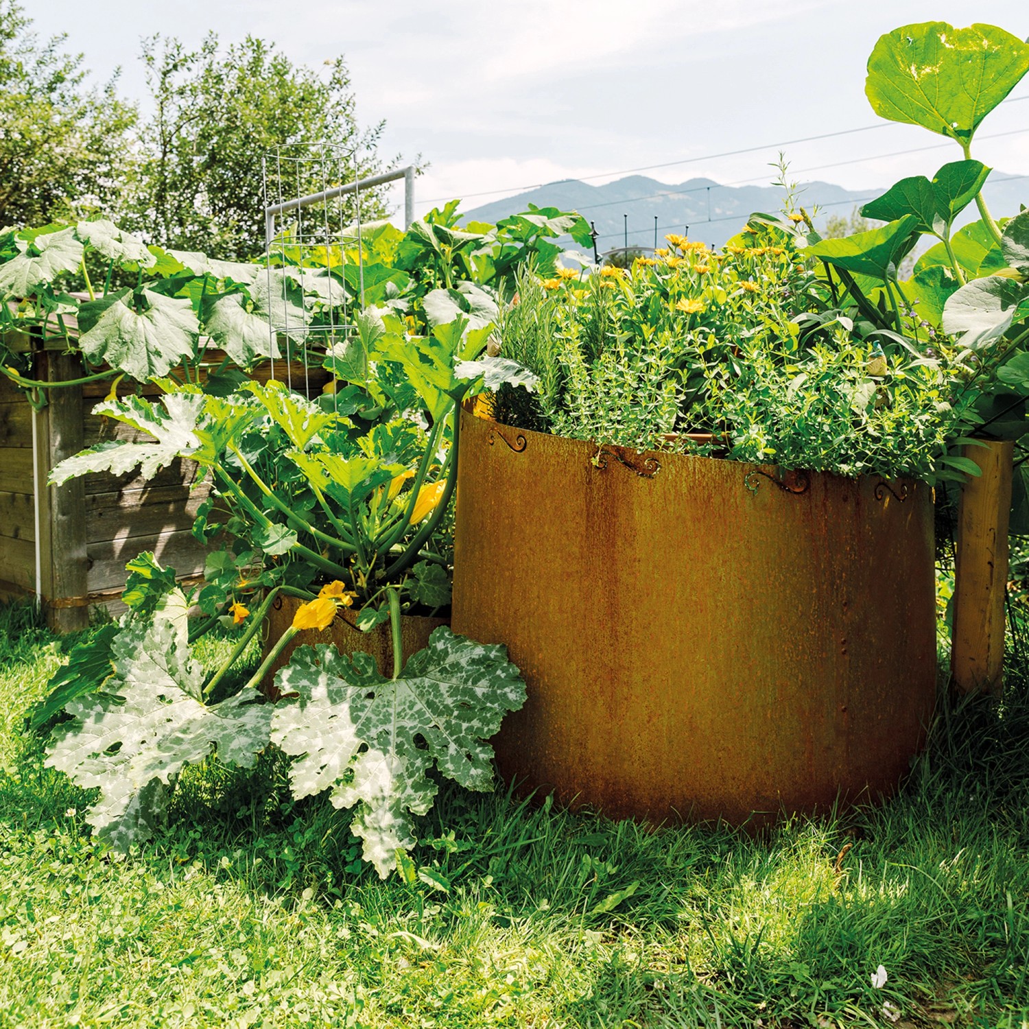 Bellissa Kräuterspirale aus Cortenstahl, bepflanzt mit Kräutern und Gemüse im Garten.