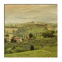 MySpotti Küchenrückwand mit Toskana Landschaft, grüne Hügel und Weinreben.