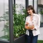 Frau erntet Tomaten im Biohort Gewächshaus Florentina Maxi, dunkelgrau-metallic.