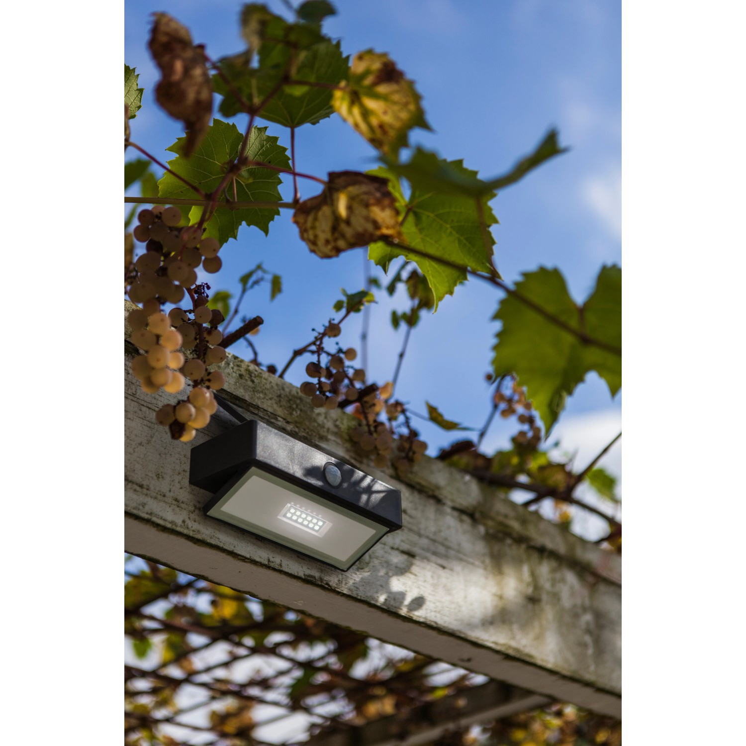 Lutec LED-Solarleuchte Arrow mit Bewegungsmelder an Pergola, Außenbeleuchtung.