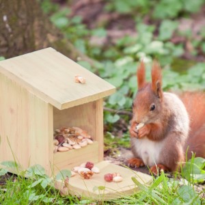 Relaxdays Eichhörnchen Futterhaus Holz Natur Mit Sichtfenster 17,5 cm x 12 cm x 25 cm 500 g