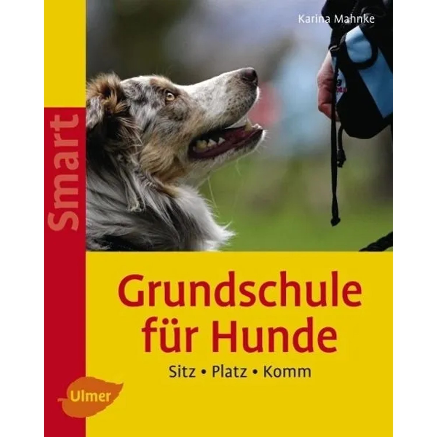 Grundschule für Hunde