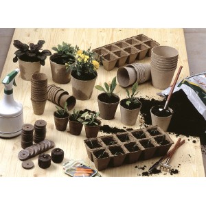 Anzuchttöpfe eckig (6x6 cm, 24 Stk.) mit Pflanzen, Erde und Zubehör für die Pflanzenanzucht.