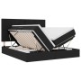 Schwarzes vidaXL Bett (200x200 cm) mit LED und Stauraum unter der Matratze.