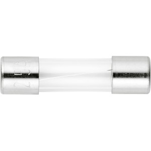 Feinsicherung 2,5 A, flink, aus Glas mit silbernen Enden, zum Schutz vor Überströmen.