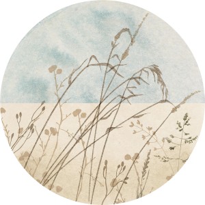 Komar Vlies Fototapete Dot Gazon, selbstklebend, Ø 125cm, mit Gräsern vor blauem Himmel.