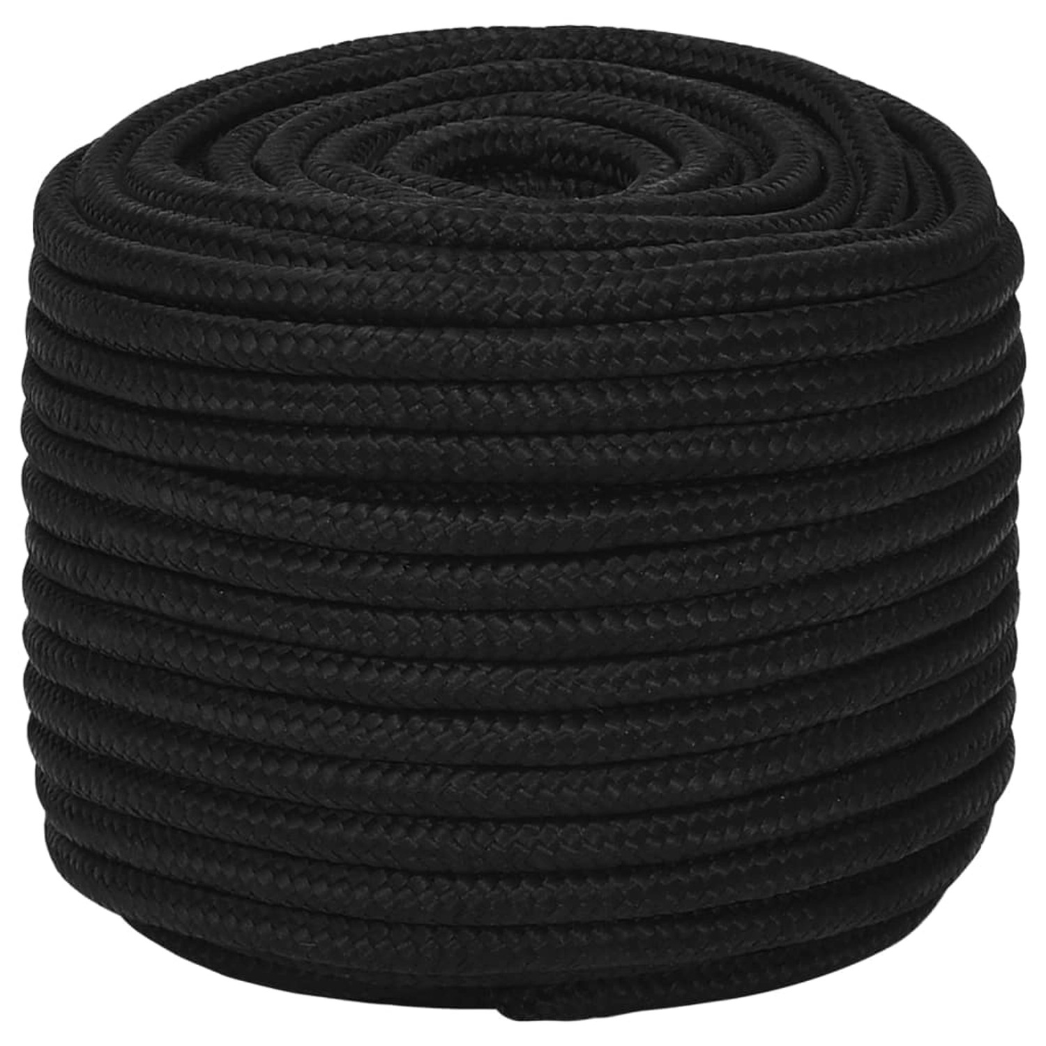 vidaXL Arbeitsseil Schwarz 12 mm 100 m Polyester 152828
