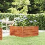 Rechteckiges furnicato Hochbeet aus Cortenstahl (100x100x45 cm) mit Rost-Optik im Garten.