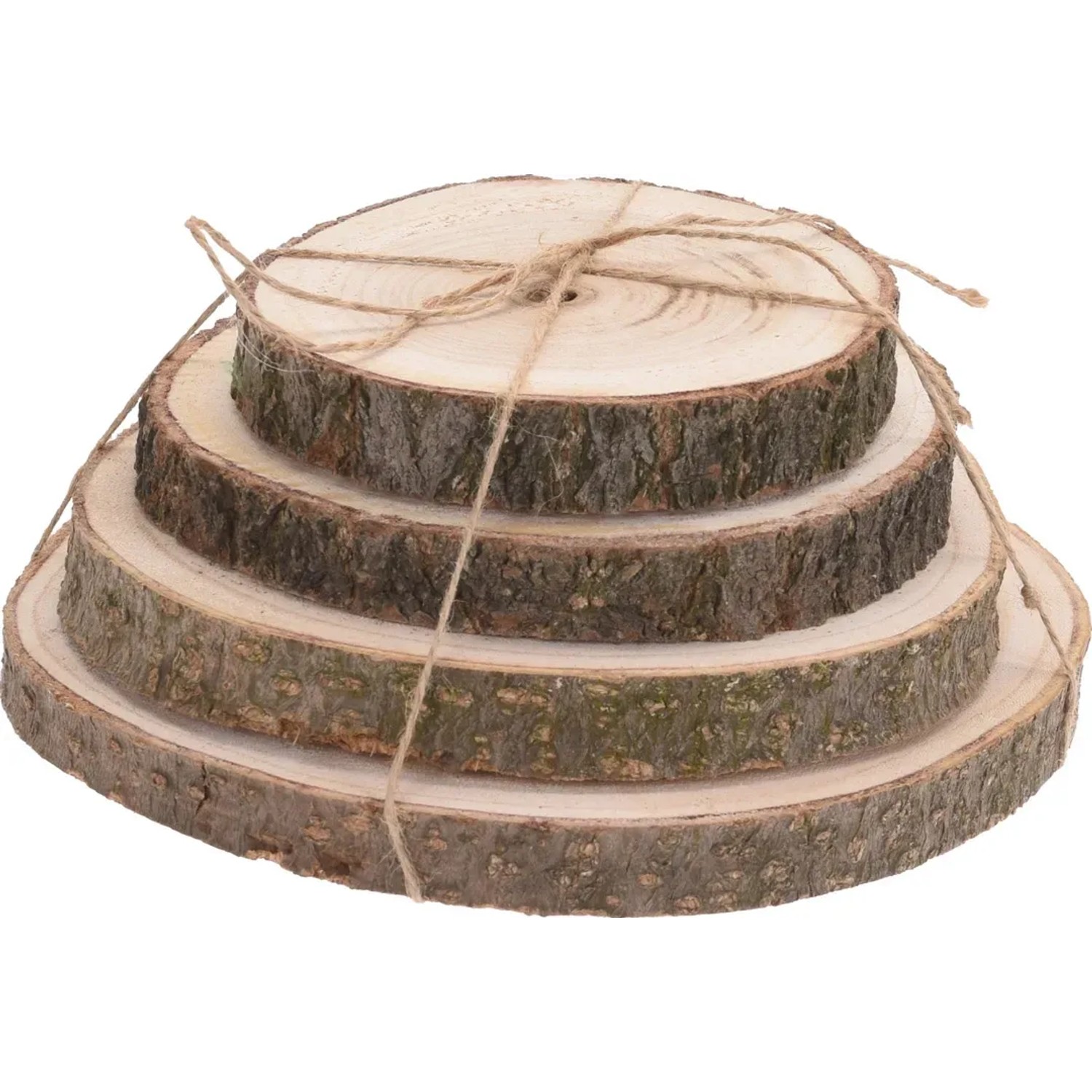 Deko Baumstammscheiben Birke Ø 14-20 cm 4er Set