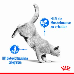 Katze in Bewegung, Werbung für Royal Canin Light Weight Care Katzenfutter.