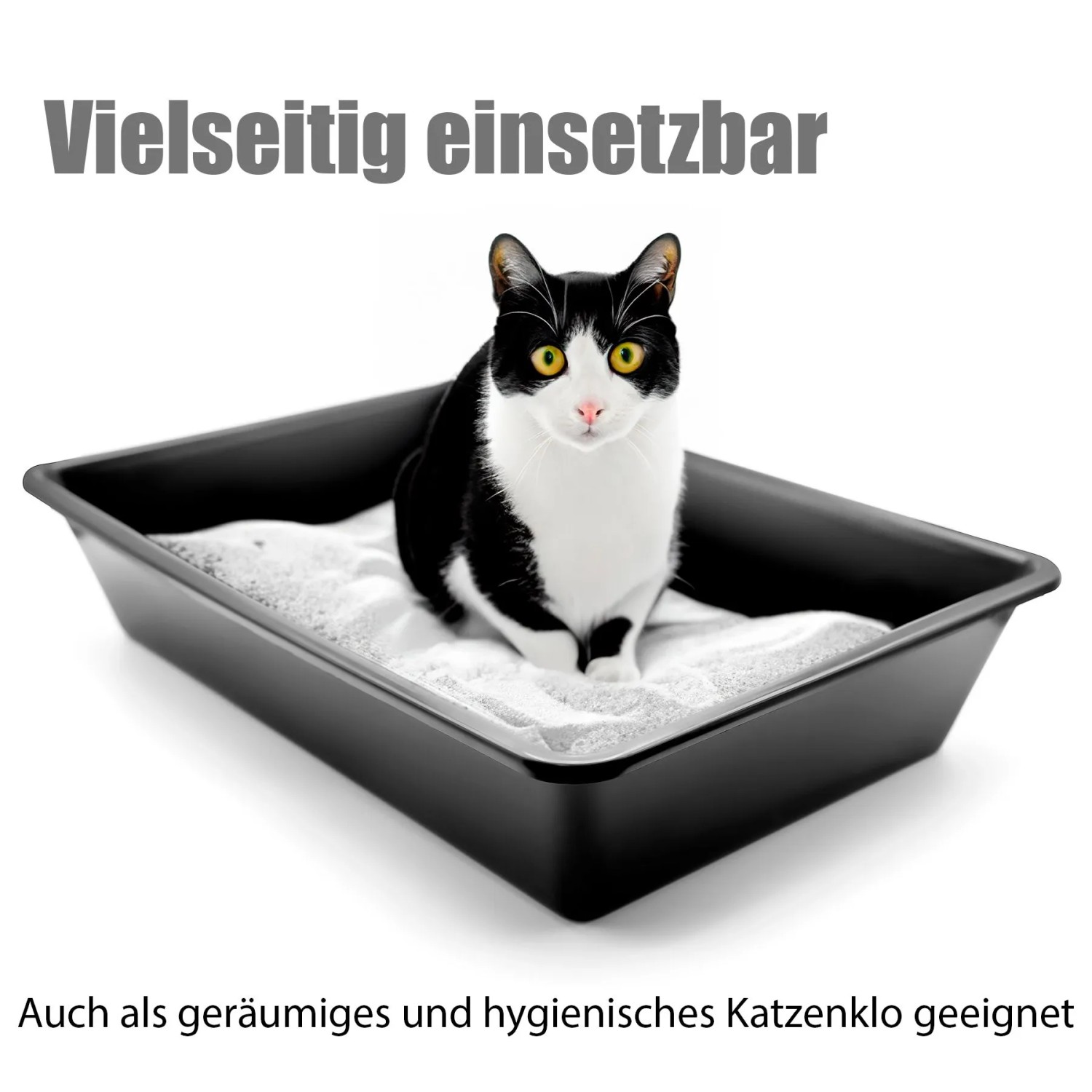 BigDean Wanne aus Kunststoff 60x40x12 cm Multifunktionale Pflanzwanne Anzuchtwanne Einsetzbar Auch als Kleintiertoilette oder Mörtelwanne Geeignet_4