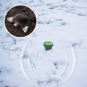 Gardigo Maulwurfabwehr Basic im Schnee mit Maulwurf im Detailbild. Maulwurfschreck für den Garten.