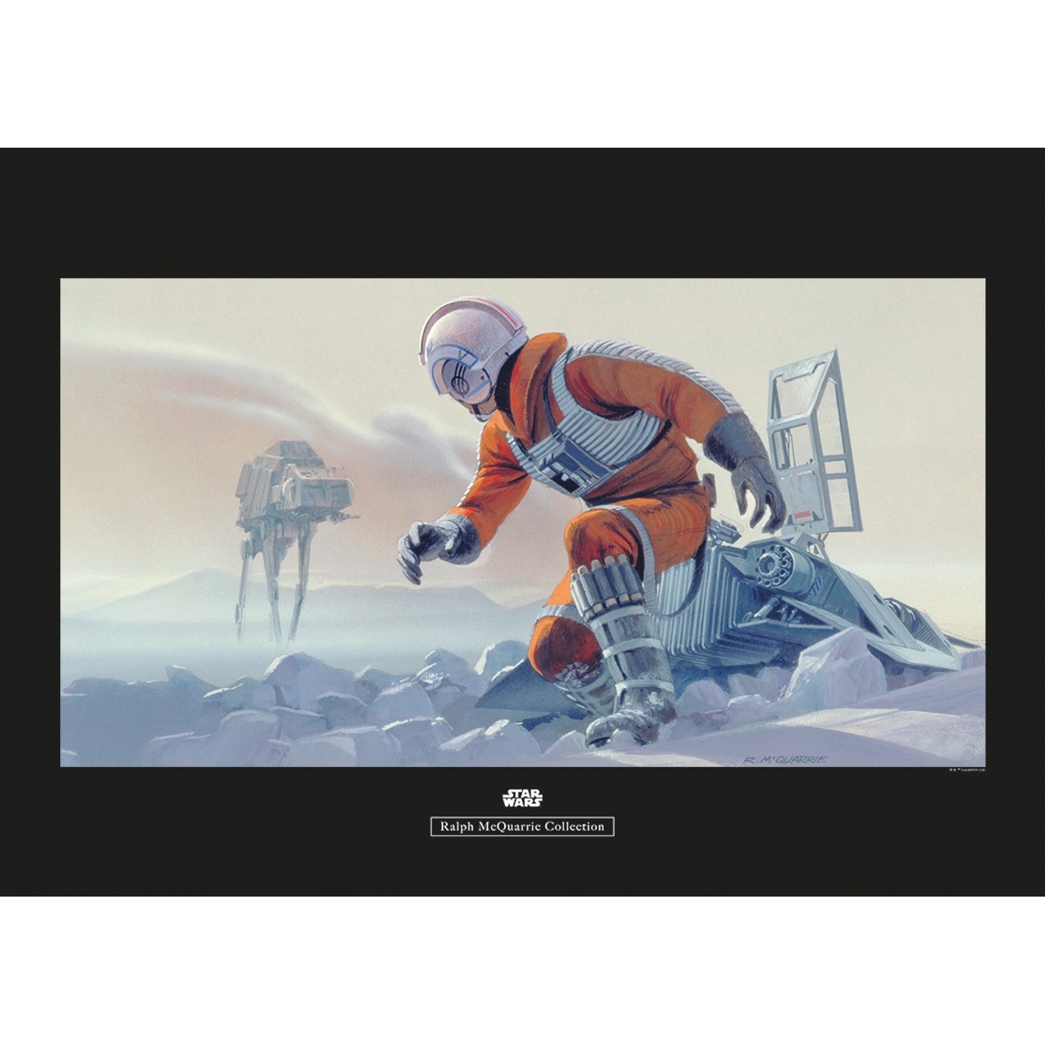 Komar Wandbild Star Wars Pilot 70 x 50 cm