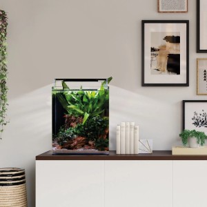 Dennerle Nano Cube Complete 20 l Aquarium mit Pflanzen und LED-Licht auf einem Schrank.