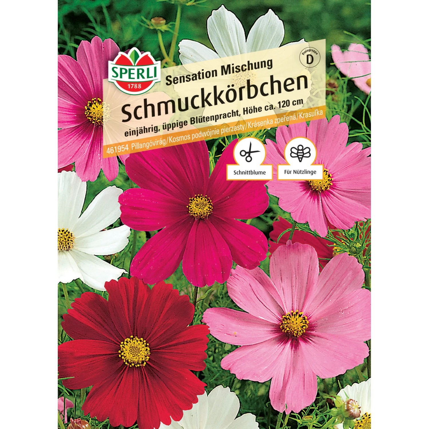 Sperli Roter Sonnenhut "Sperli's Clio" Echinacea purpurea
