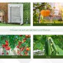 Collage: Outsunny Foliengewächshaus, Kürbis, Tomaten, Gurken. Gärtnern leicht gemacht.