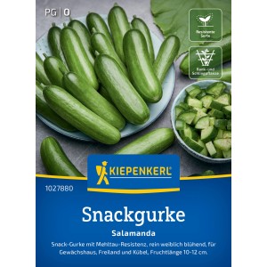 Kiepenkerl Salatgurke Salamanda F1: Snackgurken auf Teller und geschnitten in Schüssel.