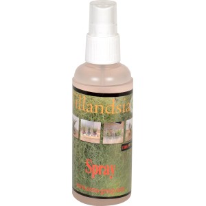 Tillandsien Spray mini, 125ml Flasche zur Pflege und Nährstoffversorgung.