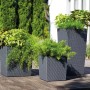 Siena Garden Pflanzsäulen Nizza Graphit, 3 Größen mit Pflanzen auf Holzterrasse.